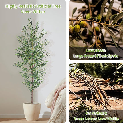ACS 8 FT Artificial Olive Tree for Home/Office l BCE-2195219512.BCE-2195219513